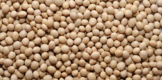 Jak odróżnić wosk sojowy od parafiny?