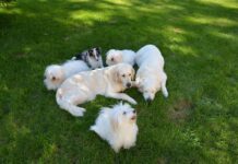 Ile kosztuje zrobienie płaszczem wodnym?