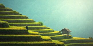 Za co przebranie dzieci na Bal Wszystkich Świętych?