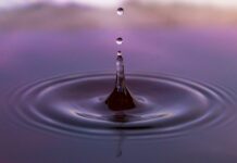 Jaka dopłata do ula 2023? Jaka dopłata do ula 2023?