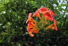 Gdzie umieścić centrale alarmową w domu? Gdzie umieścić centrale alarmową w domu?