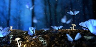 Ile drewna trzeba na zimę?