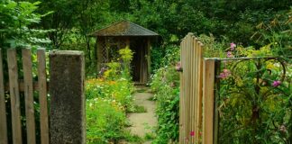 Jakie wymiary może mieć wiata?