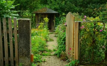 Jakie wymiary może mieć wiata?