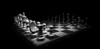 Ile kosztuje królowa pszczół?