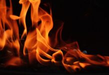 Jakim drewnem palić w kozie?