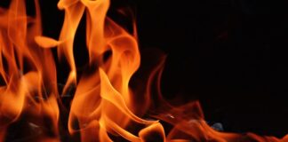 Jakim drewnem palić w kozie?