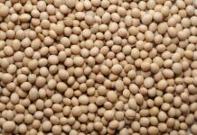 Dlaczego świece sojowe pękają?