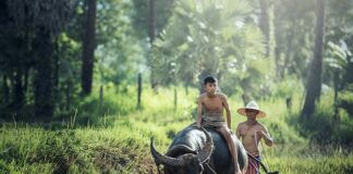 Co kupić dla rolnika?