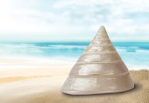 Jaka obudowa do alarmu?