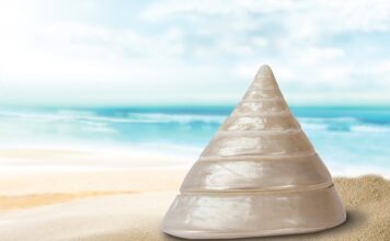 Jaka obudowa do alarmu? Jaka obudowa do alarmu?