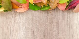 Co można postawić w granicy bez zgody sąsiada?