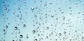 Dlaczego nie wolno palić mokrym drewnem?