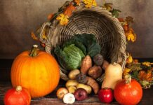 Czy dynia przynosi szczęście? Czy dynia przynosi szczęście?