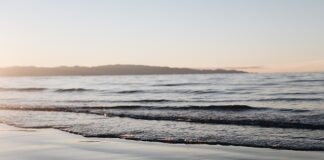 Jak zrobić dobre shoty?