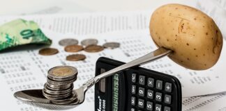 Ile kosztuje utrzymanie ula?