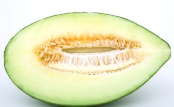 Kiedy pojawia się spadź? Kiedy pojawia się spadź?