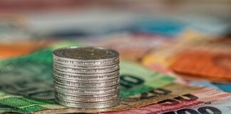 Ile można zarobić na jednym ulu?