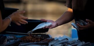 Jak legalnie sprzedawać świece?