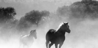 Czy można palić w kominku bez deflektora?