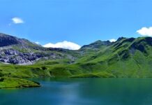 Co zrobić żeby biszkopt był wysoki?