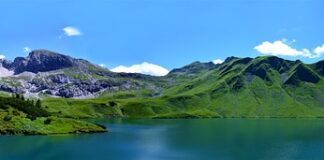 Co zrobić żeby biszkopt był wysoki?