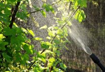 Co grozi za opryski w dzień? Co grozi za opryski w dzień?