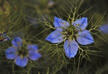 Jakie dodatki do zielonej łazienki? Jakie dodatki do zielonej łazienki?