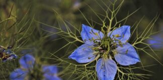 Jakie dodatki do zielonej łazienki?