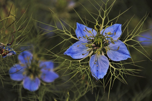 Jakie dodatki do zielonej łazienki? Jakie dodatki do zielonej łazienki?