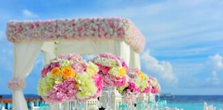 Jaka altana bez zgłoszenia?