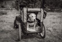 Jakie profile do przyczepki samochodowej?