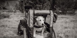 Jakie profile do przyczepki samochodowej?