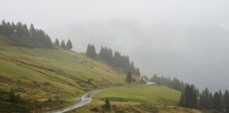 Jak sprawdzić przebieg w Kodiaq?