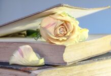 Czy warto kupić używane felgi?