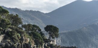 Ile kosztuje 1 metr spawu?