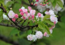 Jaka jest żywotność sprzęgła?