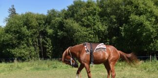 Czy opłaca się montować kolektory słoneczne?