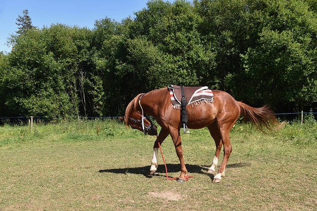 Czy opłaca się montować kolektory słoneczne? Czy opłaca się montować kolektory słoneczne?