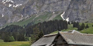 Czy solary działają w zimie?