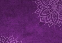 Kto dostaje mandat za brak kasku?