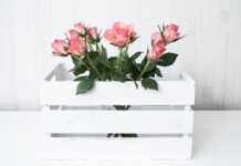 Ile Nm koło pasowe 1.9 TDI?