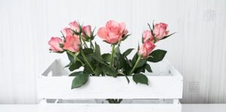 Ile Nm koło pasowe 1.9 TDI?