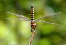 Co daje większa felga w aucie? Co daje większa felga w aucie?