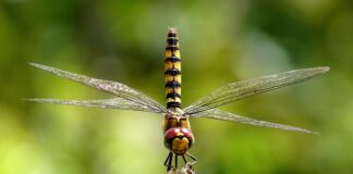 Co daje większa felga w aucie?