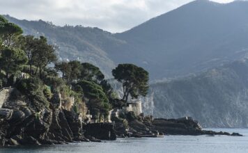 Ile kosztuje wymiana koła pasowego wału?