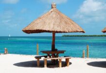 Jak działa uszczelniacz do opon?