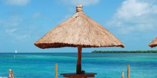 Jak działa uszczelniacz do opon?