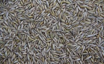 Czy Ina produkuje pompy wody?