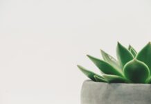 Jaka musi być minimalna siła napędowa na kołach? Jaka musi być minimalna siła napędowa na kołach?